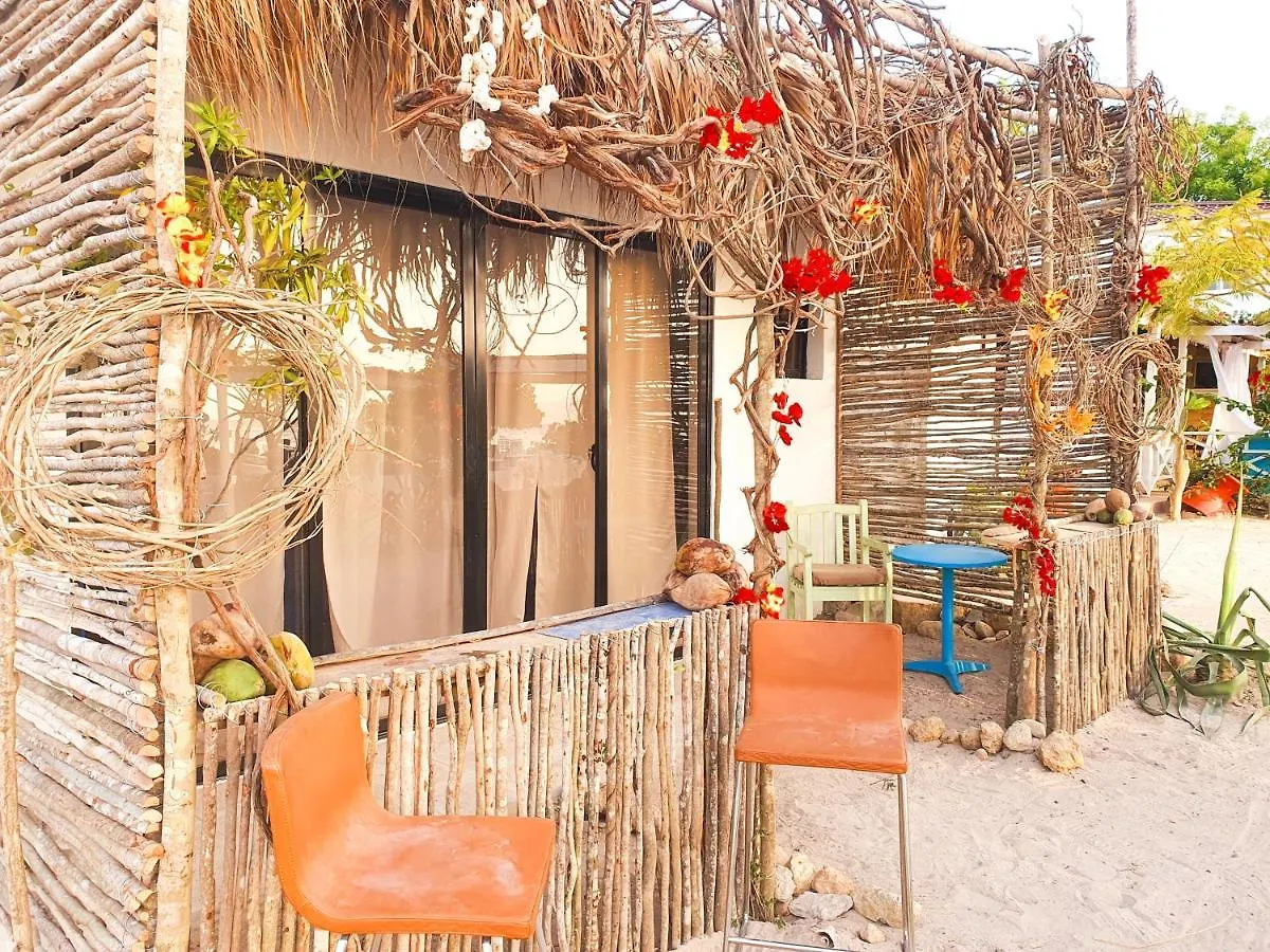 Bluemare Ecohotel Frente A La Playa Ensendada 푼타 루시아 호텔