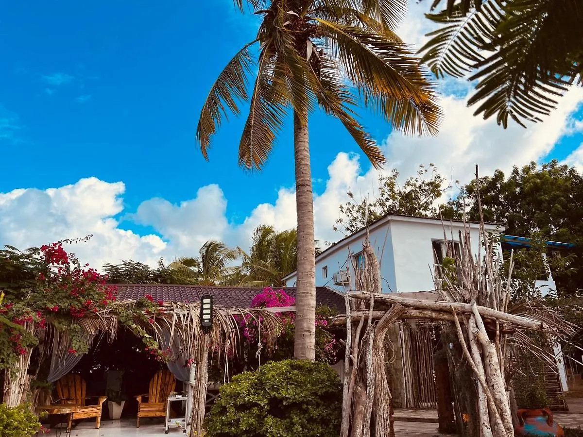 호텔 Bluemare Ecohotel Frente A La Playa Ensendada 푼타 루시아 도미니카 공화국