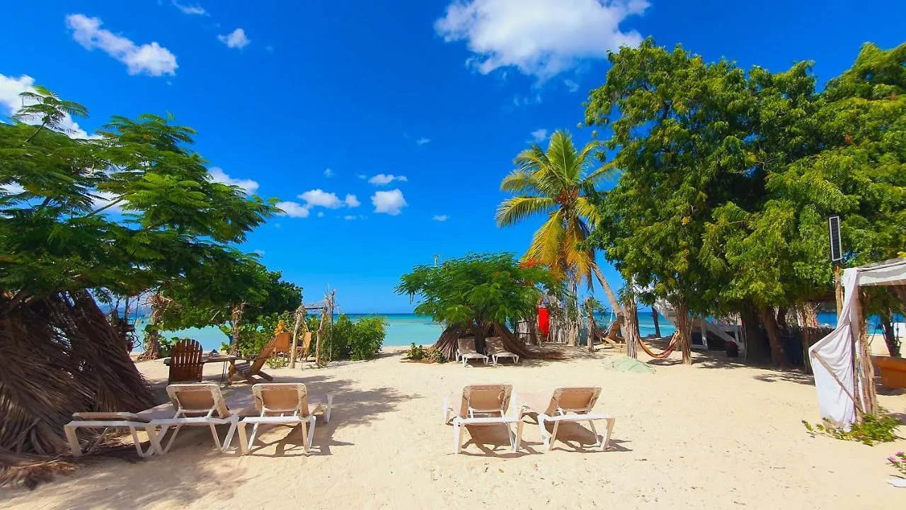 호텔 Bluemare Ecohotel Frente A La Playa Ensendada 푼타 루시아 도미니카 공화국