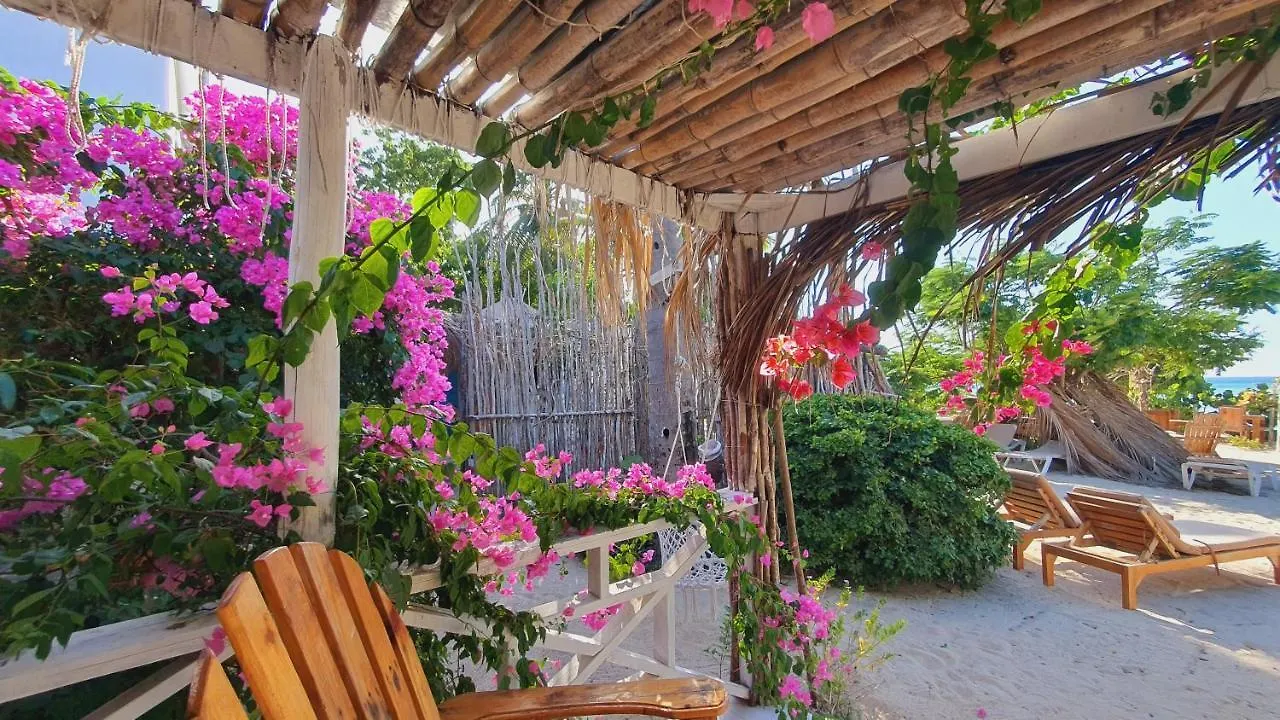 호텔 Bluemare Ecohotel Frente A La Playa Ensendada 푼타 루시아