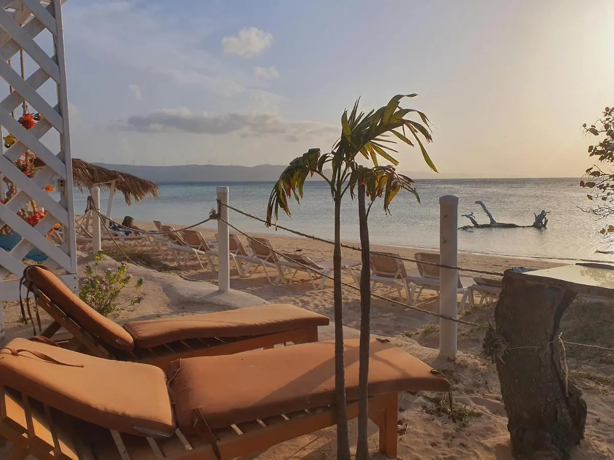 Bluemare Ecohotel Frente A La Playa Ensendada Punta Rucia 0*,  Dominican Republic