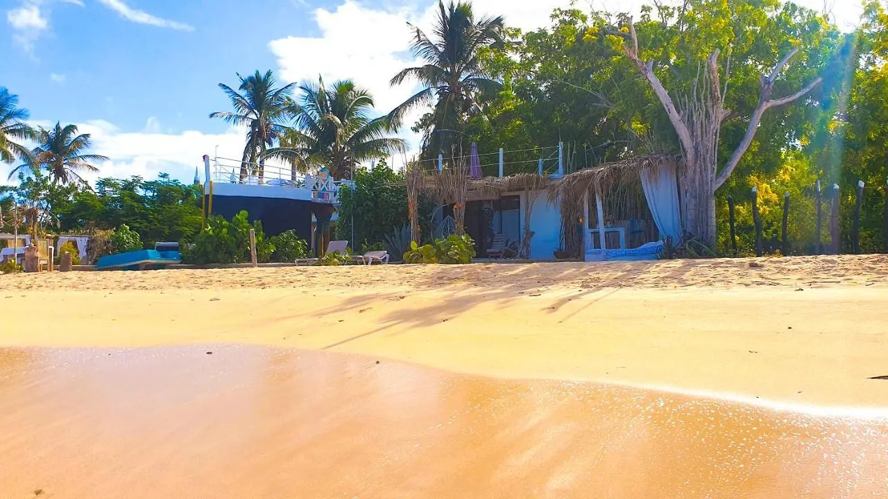 Bluemare Ecohotel Frente A La Playa Ensendada Punta Rucia 0*,