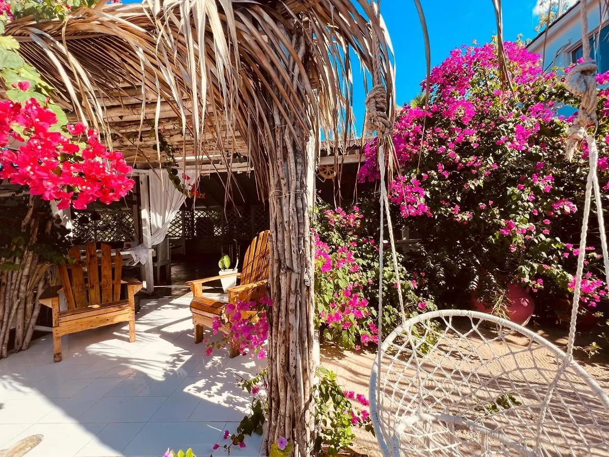 Bluemare Ecohotel Frente A La Playa Ensendada Пунта-Русия