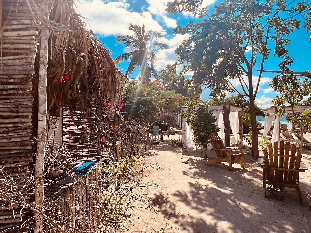 Bluemare Ecohotel Frente A La Playa Ensendada Punta Rucia Hotel