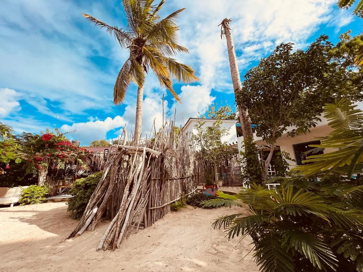 Bluemare Ecohotel Frente A La Playa Ensendada Punta Rucia Dominican Republic