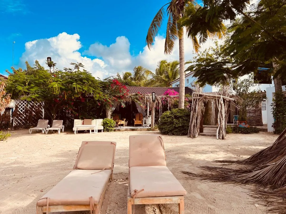 Bluemare Ecohotel Frente A La Playa Ensendada Punta Rucia