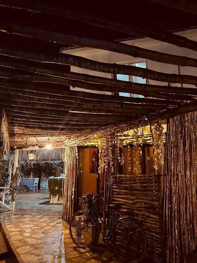 Отель Bluemare Ecohotel Frente A La Playa Ensendada Пунта-Русия