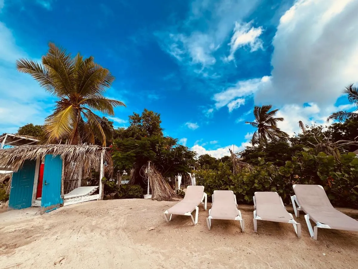 Bluemare Ecohotel Frente A La Playa Ensendada Punta Rucia Dominican Republic