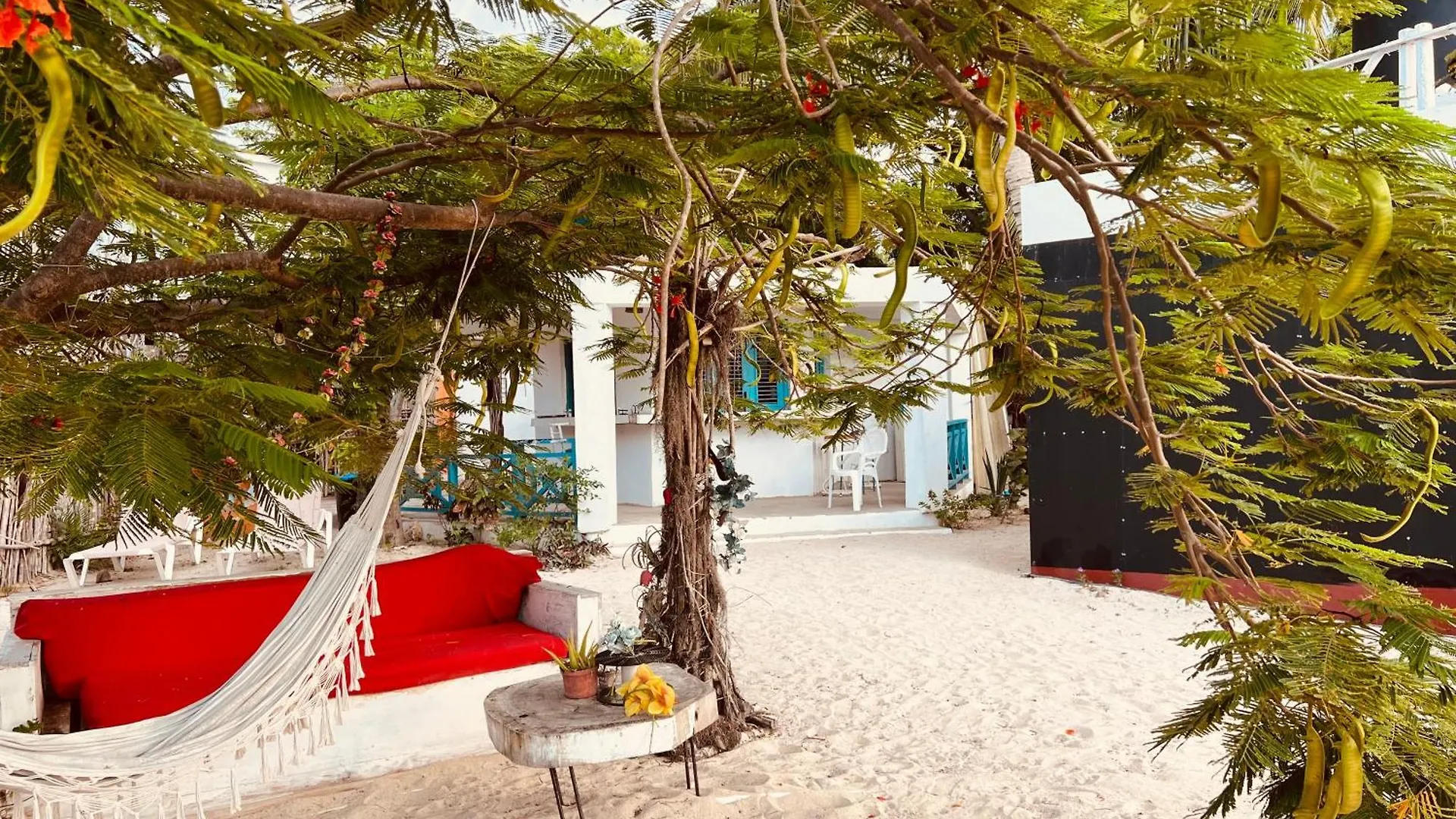 Hotel Bluemare Ecohotel Frente A La Playa Ensendada Punta Rucia Dominican Republic