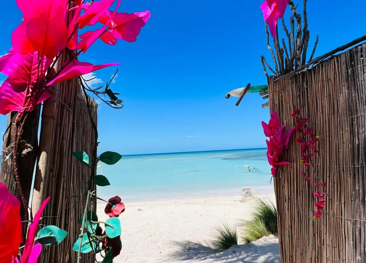 Bluemare Ecohotel Frente A La Playa Ensendada Punta Rucia Dominican Republic