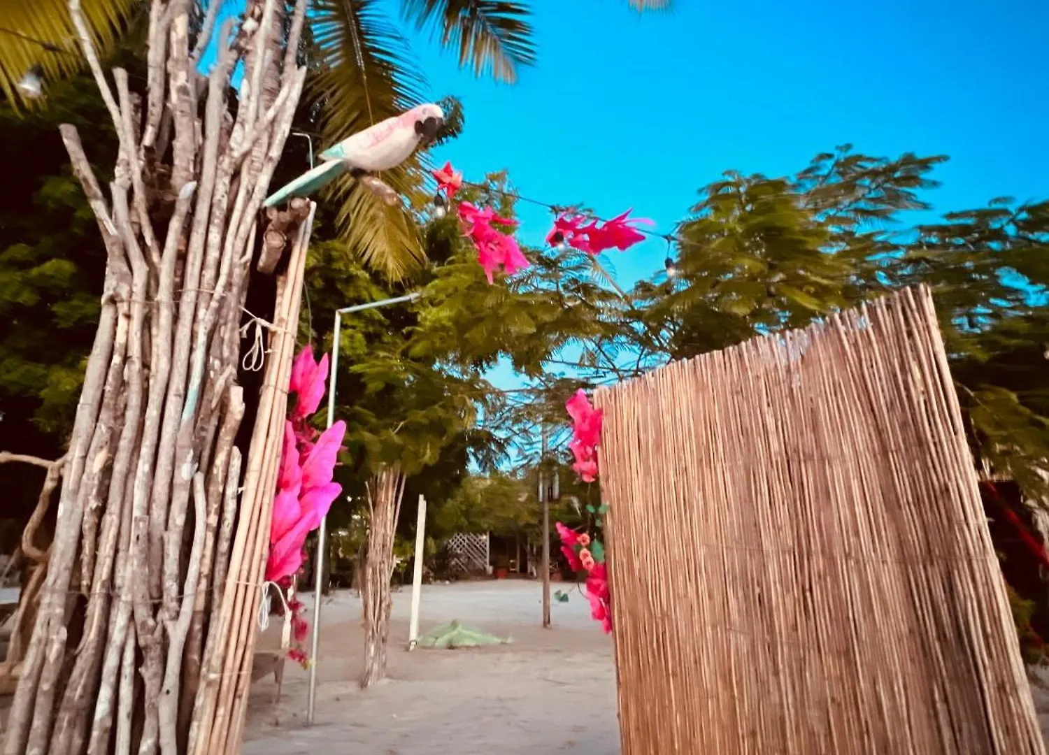 Bluemare Ecohotel Frente A La Playa Ensendada Punta Rucia 0*,  Dominican Republic