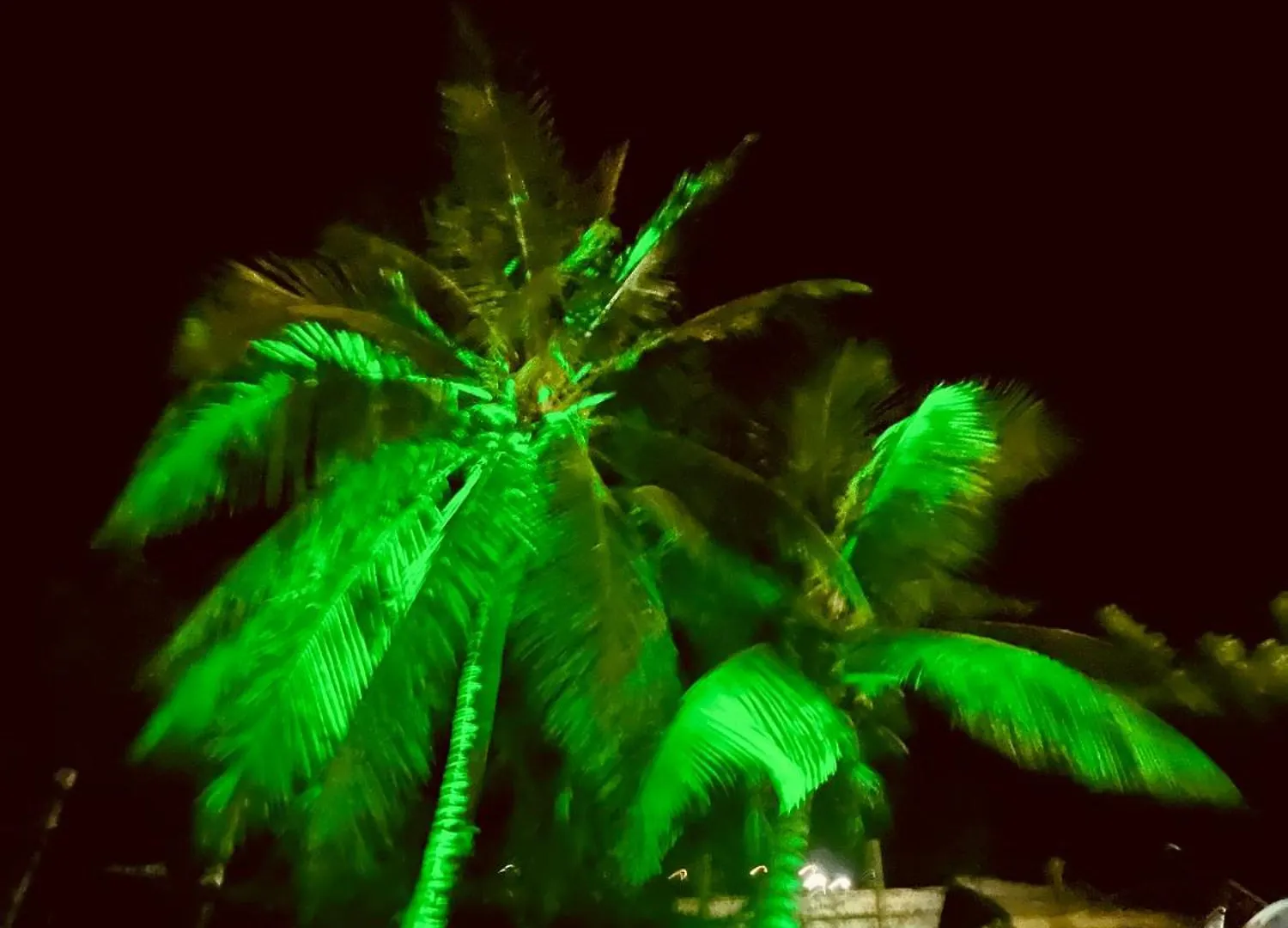 Hotel Bluemare Ecohotel Frente A La Playa Ensendada Punta Rucia Dominican Republic
