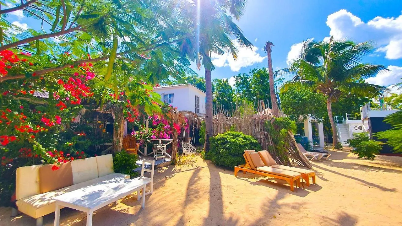 Bluemare Ecohotel Frente A La Playa Ensendada Punta Rucia Hotel