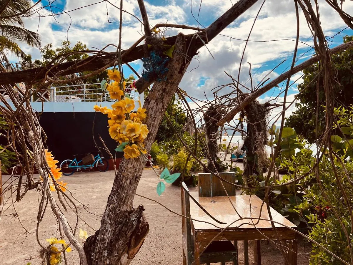 Bluemare Ecohotel Frente A La Playa Ensendada Punta Rucia Hotel